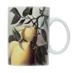 Harold Import Multicolored Porcelain Mug Mug 1 Pk