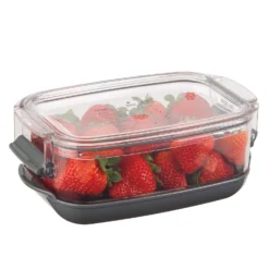 Progressive Prepworks 1.2 Quart Qt Clear/Gray Produce Keeper 1 Pk