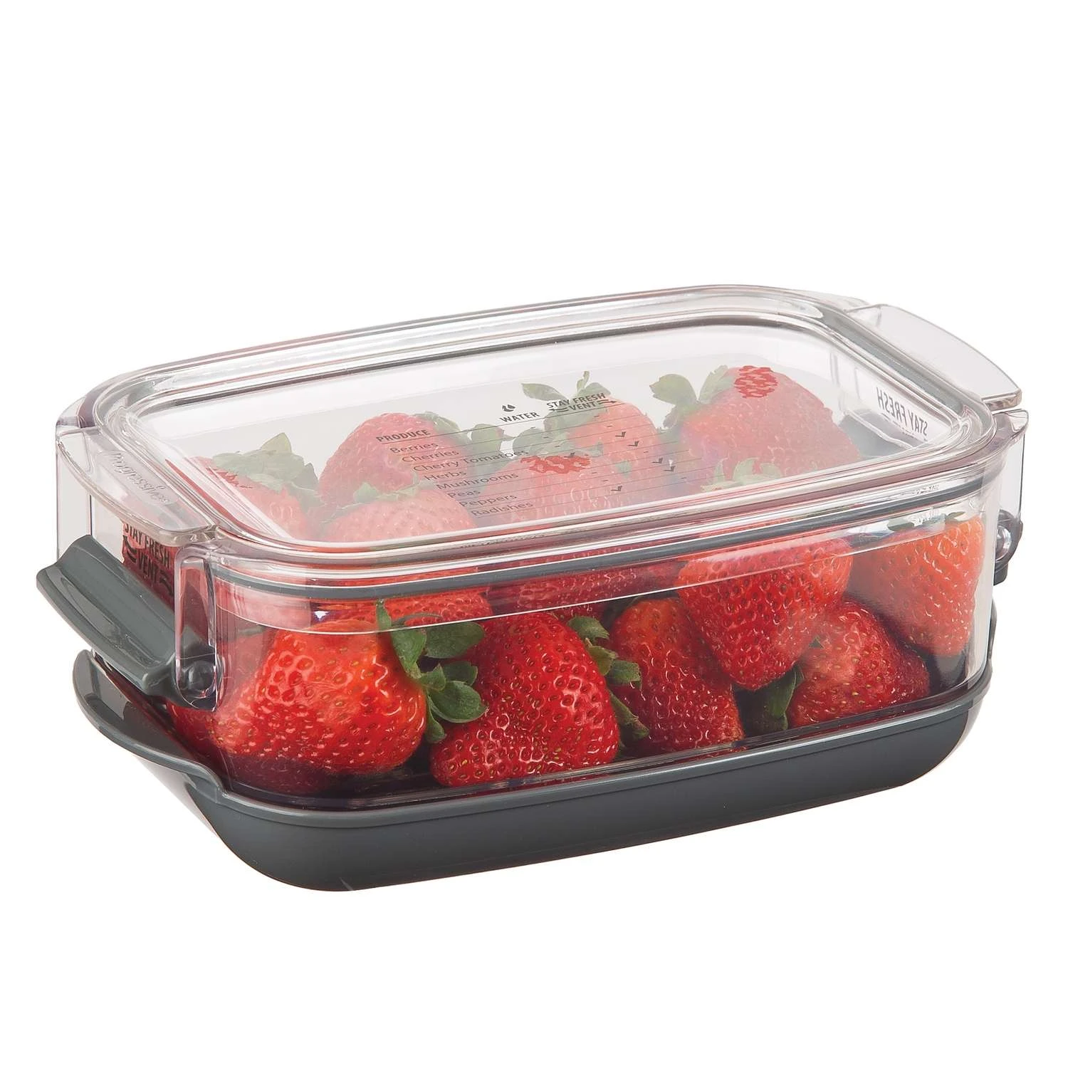 Progressive Prepworks 1.2 Quart Qt Clear/Gray Produce Keeper 1 Pk
